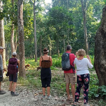 Chital Lodge Chitwan Buitenkant foto