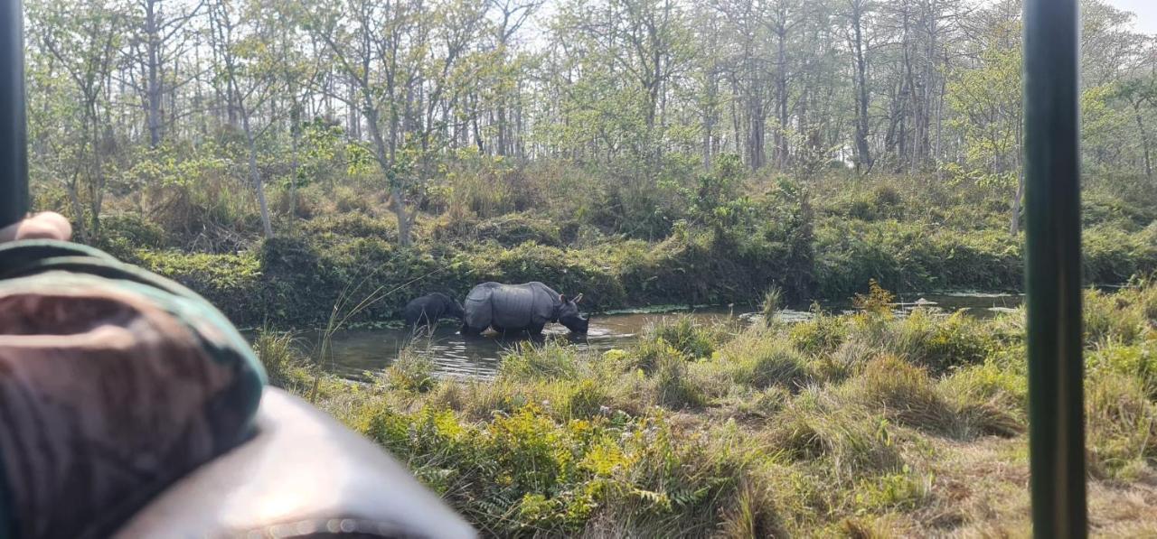 Chital Lodge Chitwan Buitenkant foto