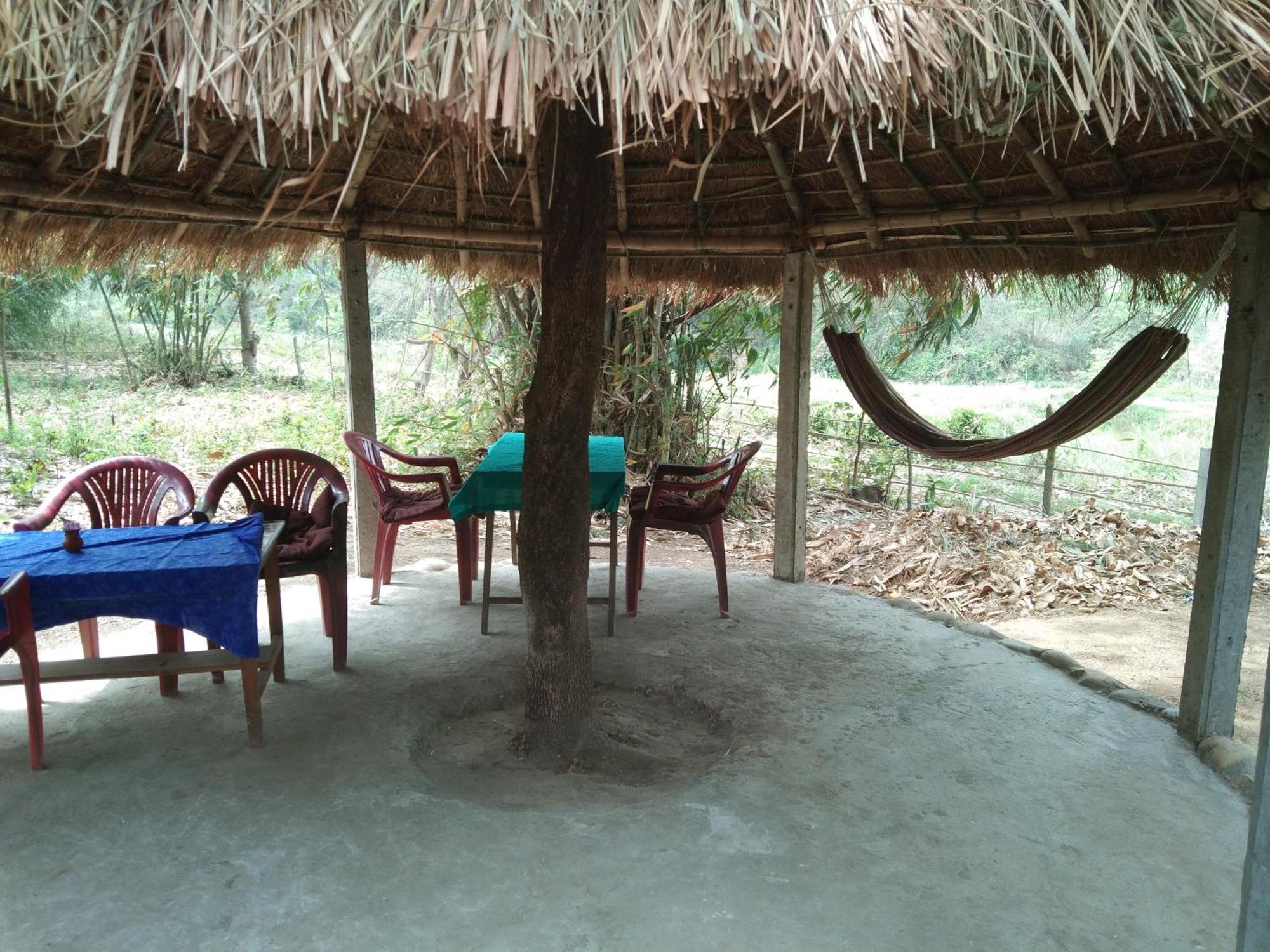 Chital Lodge Chitwan Buitenkant foto