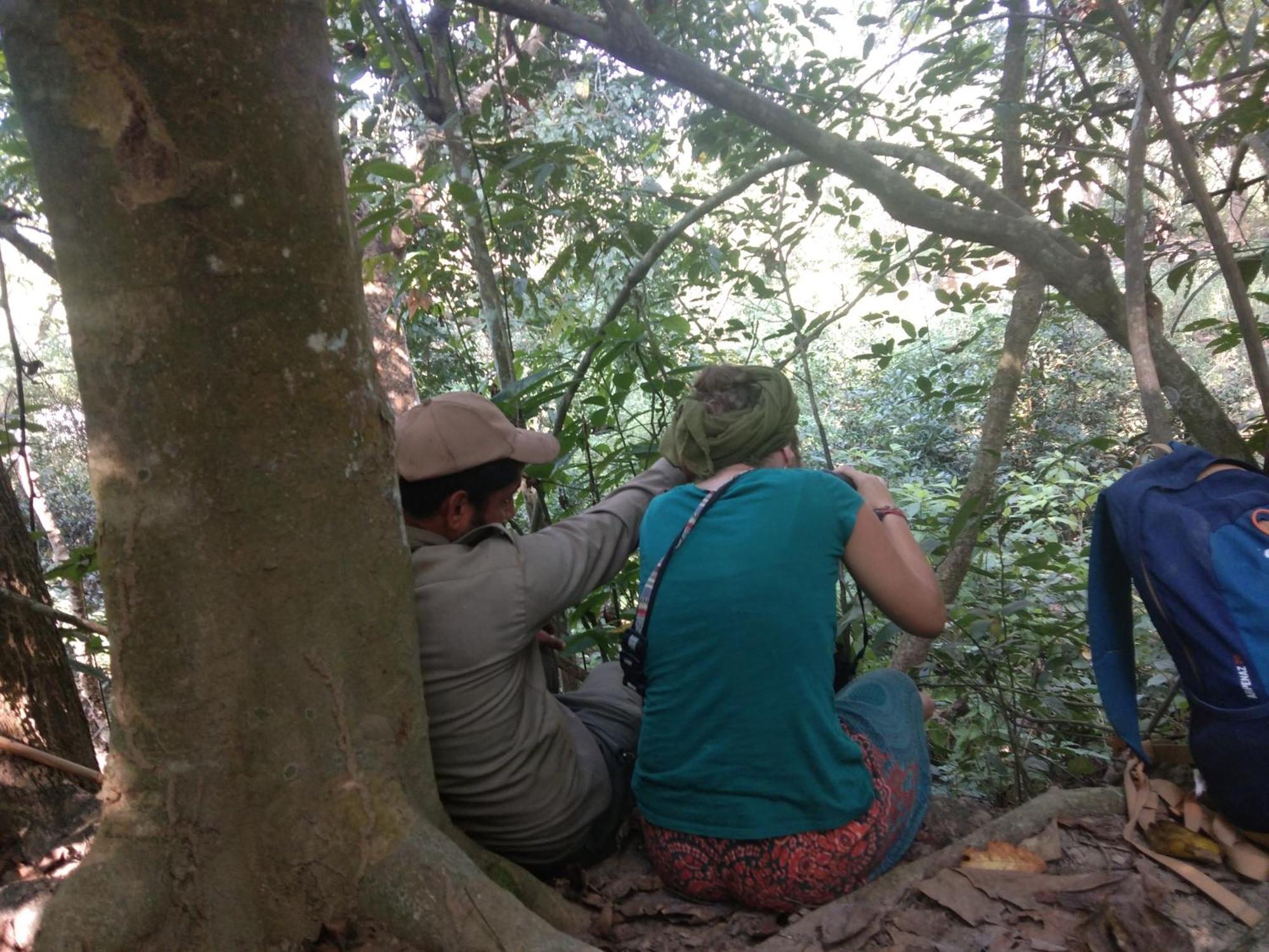Chital Lodge Chitwan Buitenkant foto