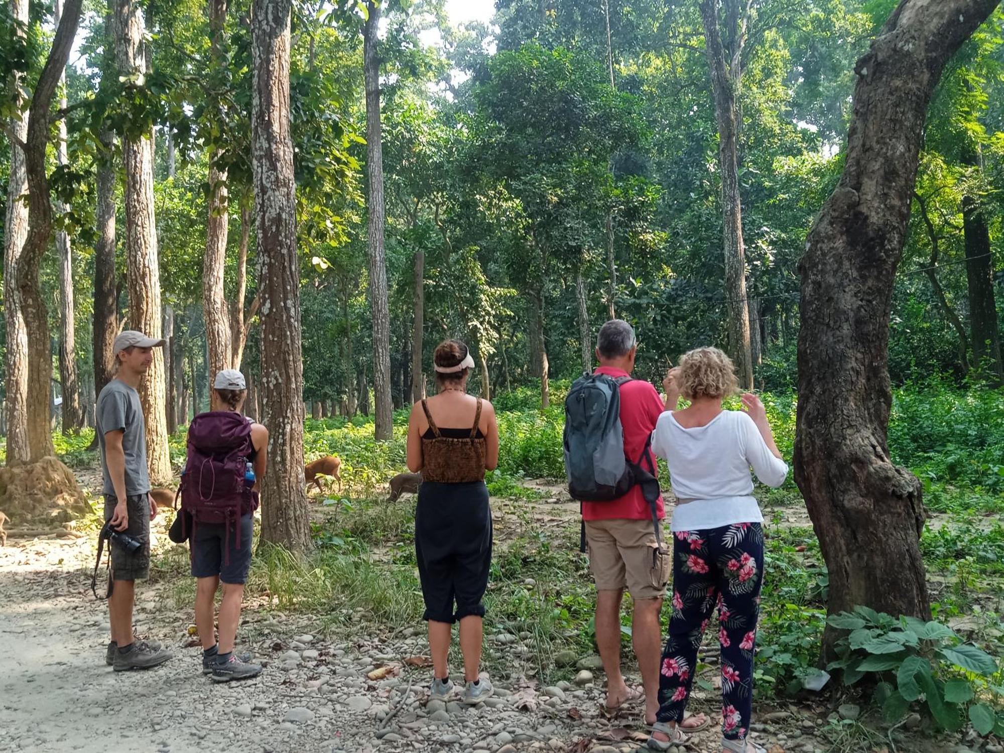 Chital Lodge Chitwan Buitenkant foto