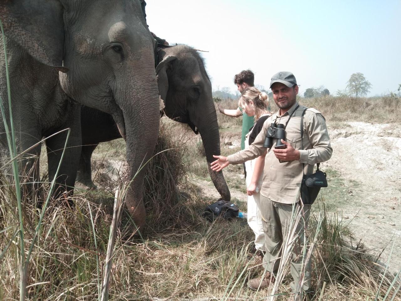 Chital Lodge Chitwan Buitenkant foto