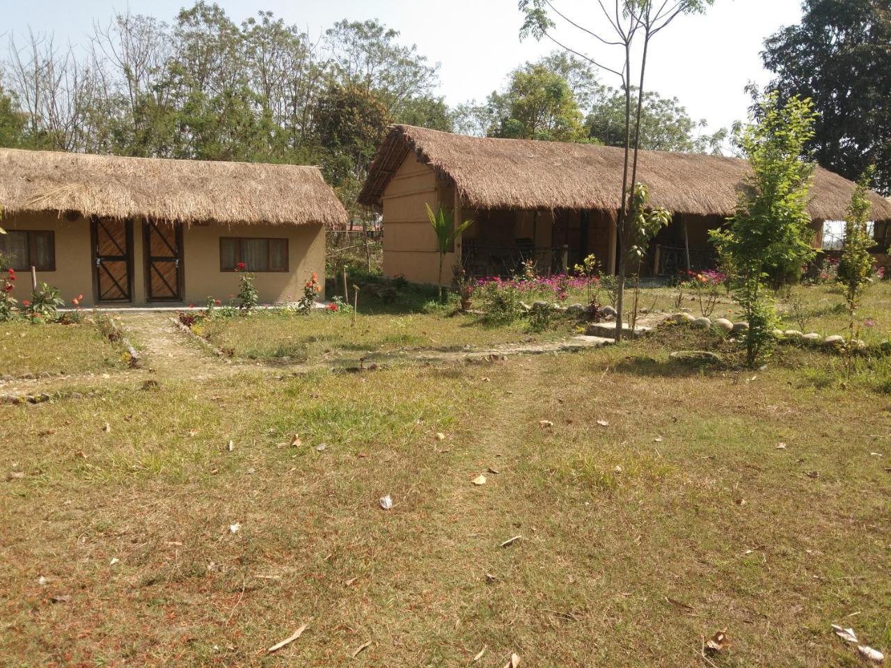 Chital Lodge Chitwan Buitenkant foto