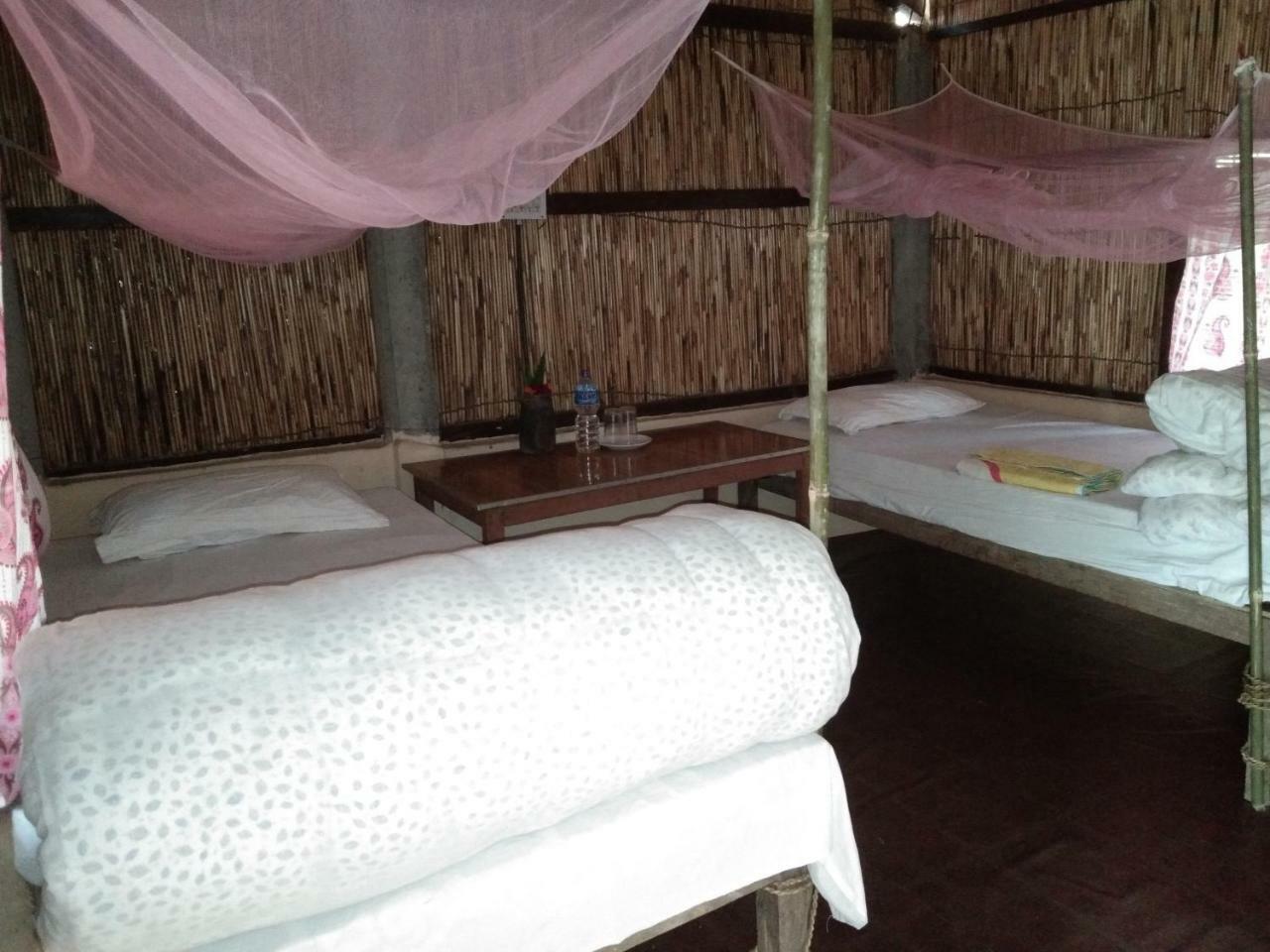 Chital Lodge Chitwan Buitenkant foto