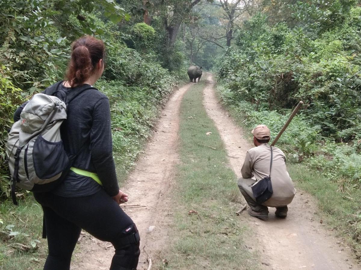 Chital Lodge Chitwan Buitenkant foto