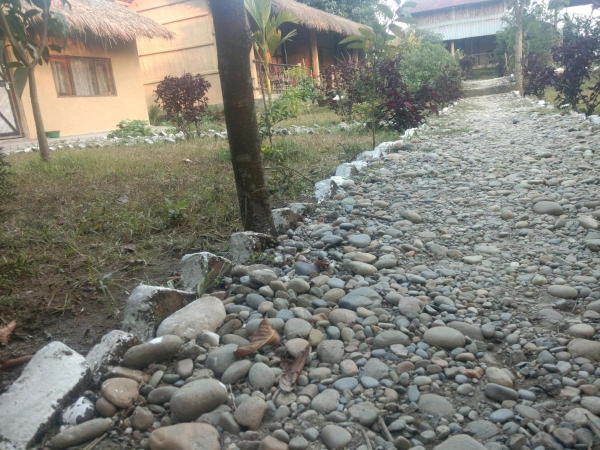 Chital Lodge Chitwan Buitenkant foto